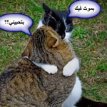 ���� ���� ����� 