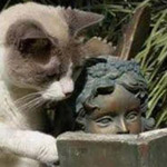 ������ ���� ������