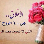 ���� ����