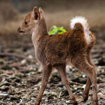 ���� �����