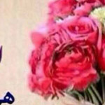 ���� ����� ���� ���