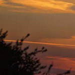 ���� ����� �� ����� ��� � ����� ��� ���� ���� 