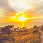 �� ���� ��� ������� ��� ������