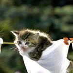 !!! ������ ��� ���