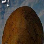 �� ���� �� ���� ������� ���� �����