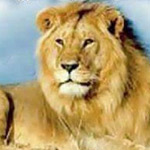 ����� ��� ��� ��� ������