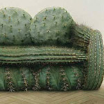 �� ����� ���� ������� ��