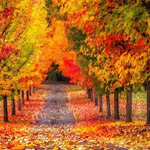 ���� ����� �� ��� ������