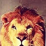 ����� ��� ����