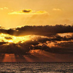 ��� �� ����  ������� ����