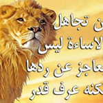 ���� ���� ������ 