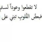 ��� ���� ��� ����