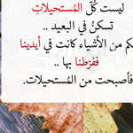 ����� ���� ������� ���� ������