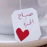 ���� ����