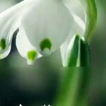 ��� ���� ���� �� ���Ͽ