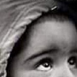 ������ ���� �������