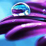 ������ �� ���� �� �����  ����� �� ���� ��� ������