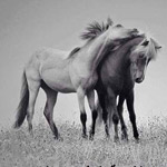 ����� ���� ��� ����� ����