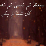 ������ �� �����