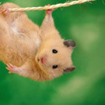 ����� �� �����