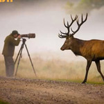 ���� ���� �� �����