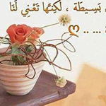 ������ ������� ������� �� ���� ���� �������