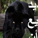 �� ������ �� ����� ��� ���� �� ���� �...