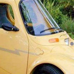 �� ���� ��� ��� �����