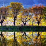 ���� �� ������