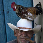 ��� ����� ����