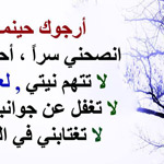 ������ ����