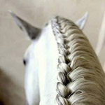 ���� ���� ����