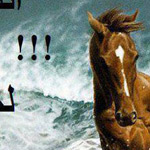 اقوال وطرائف صورة 2