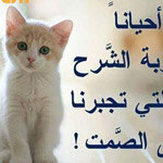 ����� ��� �������