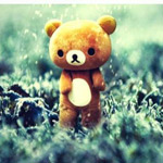 ���� ��� ���� �� ���� ���