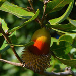 �� ���� �� ���� ������ ����� ��� ������ �� ����� ������