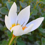 ���� ������� �� ����!