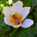 �� �� ����� �����: ������ ������ ���� �������