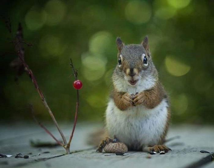 ��� ������ ����� ������ .... :-)