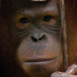 ���� ���� ��� ���� �� ���� ���