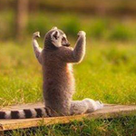 ������ ��� ����� !!