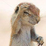 �� ����� �����