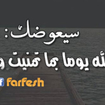 ������ ���� ���� �� ��� ����� �����