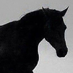 ������ ������� ���� ������