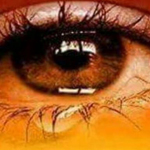 ����� ���� ��� ������ �� ����� ����� ...