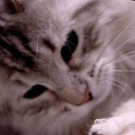 ����� �����!