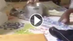 فيديو مثير لرجل يكوي ملابسه بوعاء معدني