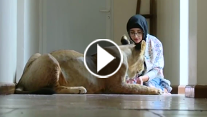 السعودية روزانا.. ملاك تربي أسداً