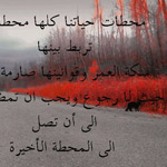 ...������ ���� �����