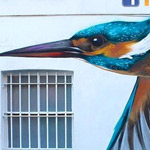 �� ������ 